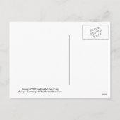 クランベリーはカード感謝祭のマルティーニのレシピ行行きます シーズンポストカード (裏面)