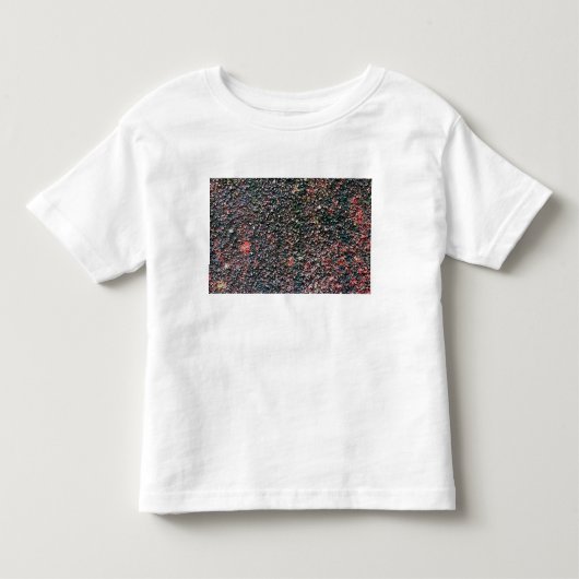クランベリースター トドラーTシャツ (正面)