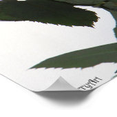 クランベリーバラポスター16x20バラ&散文 ポスター (角)