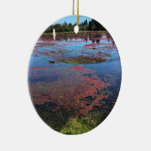 クランベリーファーム，ロングビーチ，ワシントン セラミックオーナメント (右)