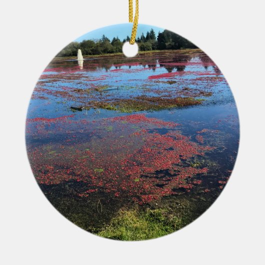 クランベリーファーム，ロングビーチ，ワシントン セラミックオーナメント (正面)