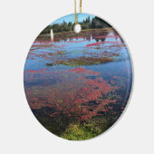 クランベリーファーム，ロングビーチ，ワシントン セラミックオーナメント (左)
