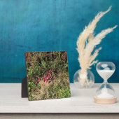 クランベリーファーム，ロングビーチ，ワシントン フォトプラーク (インサイチュ)