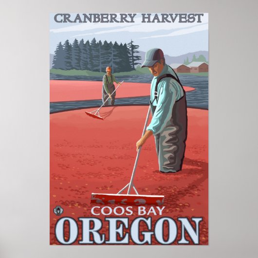 クランベリーボグハーベスト – Coos Bay, Oregon ポスター (正面)