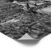 クランベリー写真を選ぶ少女たち ポスター (角)