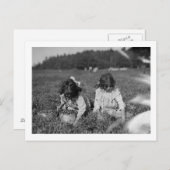 クランベリー写真を選ぶ少女たち ポストカード (正面/裏面)