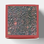 クランベリー攪拌 フェイバーボックス (上部)