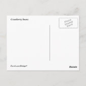 クランベリー豆 ポストカード (裏面)