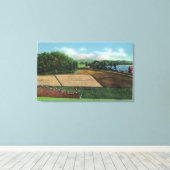 クランベリー農園の表示 キャンバスプリント (インサイチュ (ウッドフロア))