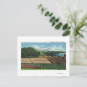 クランベリー農園の表示 ポストカード (スタンド正面)