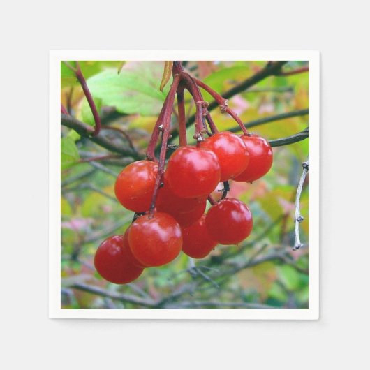 クランベリー スタンダードカクテルナプキン (正面)