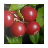 クランベリー タイル (正面)