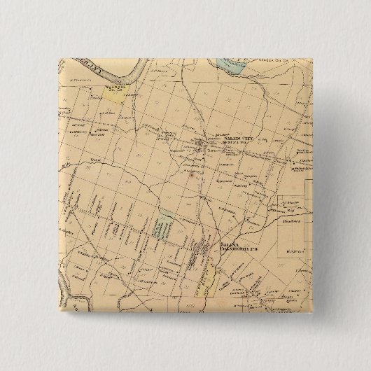 クランベリー·タウンシップ 缶バッジ (正面)