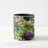 クランベリー マグカップ (中央)