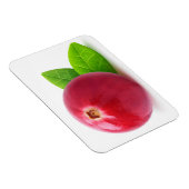 クランベリー マグネット (右側)