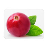 クランベリー マグネット (横)