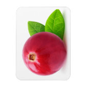 クランベリー マグネット (縦)