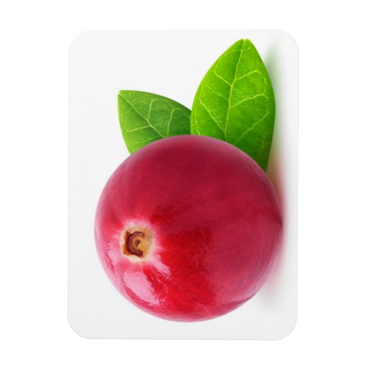 クランベリー マグネット (縦)