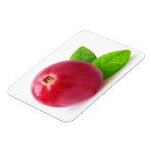 クランベリー マグネット (左側)