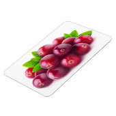 クランベリー マグネット (左側)