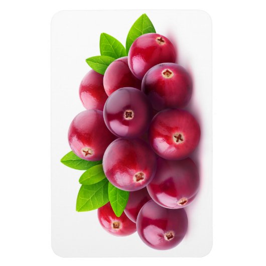 クランベリー マグネット (縦)