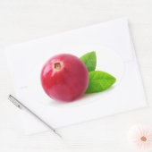 クランベリー 楕円形シール (封筒)