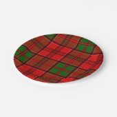 クラン許可タータンチェック ペーパープレート (アングル)