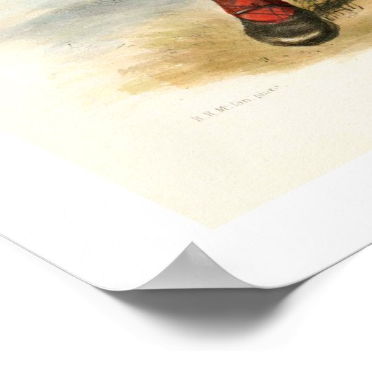 クランMacLean ポスター (角)