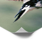 クラークのくるみ割り ポスター (角)