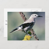 クラークのナツクラッカー ポストカード (正面/裏面)