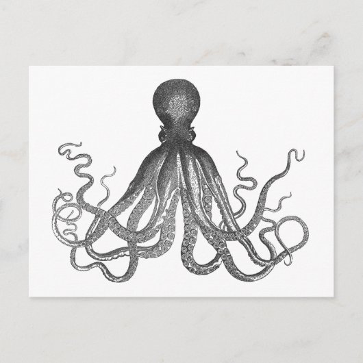 クラーケン – ブラックジャイアントタコ/ Cthulu ポストカード (正面)