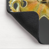 クラーケン（伝説の巨大なタコ）、オクトパス・ガモキオニア、エルンスト・ヘッケル マウスパッド (コーナー)