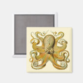 クラーケン(伝説の海獣)、タコのガモニア、エルンスト・ヘッケル マグネット (正面/裏面)