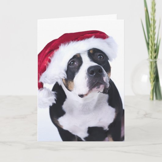 クリおもしろいスマスカード シーズンカード (正面)