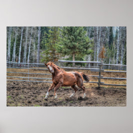 クリおもしろいッよくはしゃぐト牧場の馬の写真ウマ科の ポスター
