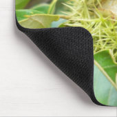 クリのマウスパッド マウスパッド (コーナー)