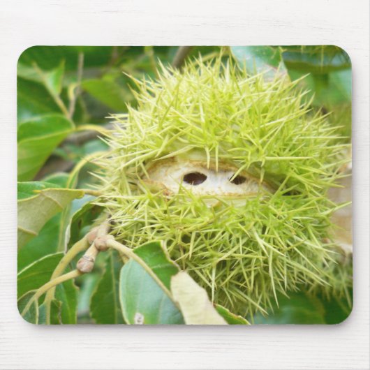 クリのマウスパッド マウスパッド (正面)