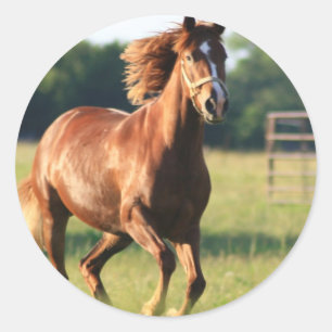 クリの疾走する馬のステッカー ラウンドシール