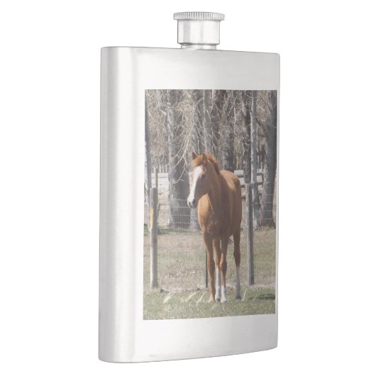 クリの馬のフラスコ フラスク (右)