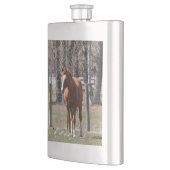 クリの馬のフラスコ フラスク (左)