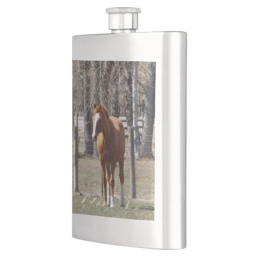 クリの馬のフラスコ フラスク (左)