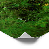 クリアウォーター川トレイル ポスター (角)