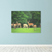 クリアリングに立つシカ キャンバスプリント (インサイチュ (ウッドフロア))