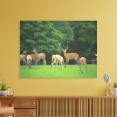 クリアリングに立つシカ キャンバスプリント (インサイチュ (リビング))