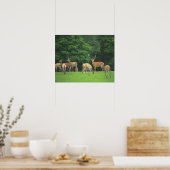 クリアリングに立つシカ ポスター (キッチン)