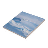 クリウチェフスコイ火山から放出されるプルーム。 タイル (側面)