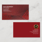 クリエイティブの顕著で赤いくもの巣はデータ科学者を並べます 名刺 (正面/裏面)