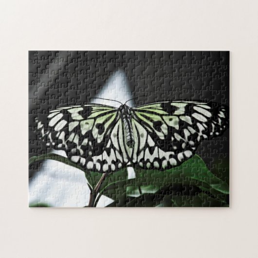 クリエイティブ模様ジグソーパズル ジグソーパズル (横)