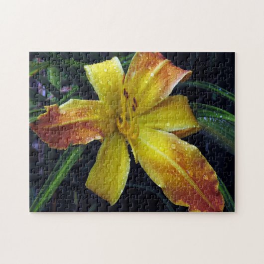 クリエイティブ模様ジグソーパズル ジグソーパズル (横)