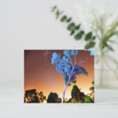 クリエイティブ片 ポストカード (スタンド正面)